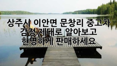 상주시 이안면 문창리 중고차 감정, 제대로 알아보고 현명하게 판매하세요!